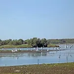 Pensjonat La Via Del Volano Codigoro