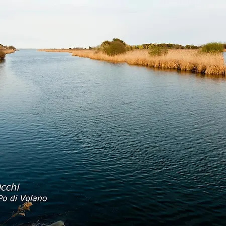 بيت ضيافة La Via Del Volano كوديجورو