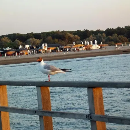 La Via Del Volano كوديجورو