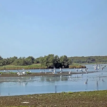 بيت ضيافة La Via Del Volano كوديجورو