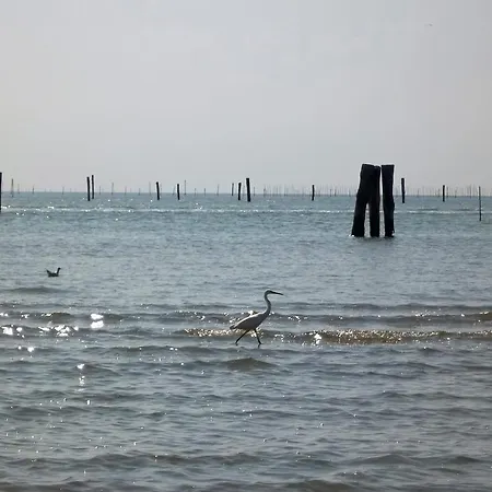 Gæstehus La Via Del Volano Codigoro