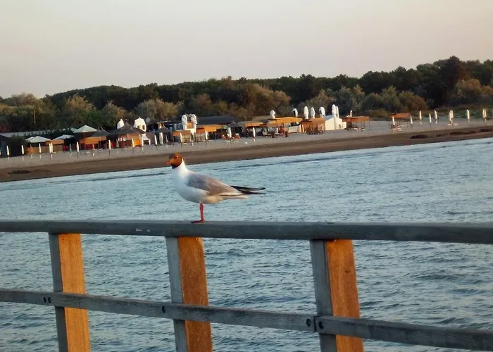 La Via Del Volano Codigoro