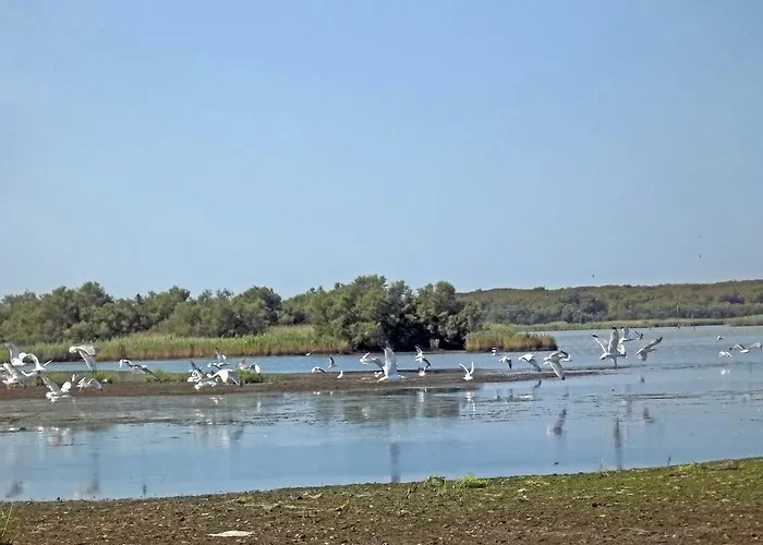 Гостевой дом La Via Del Volano Кодигоро