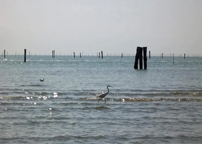 Pensjonat La Via Del Volano Codigoro